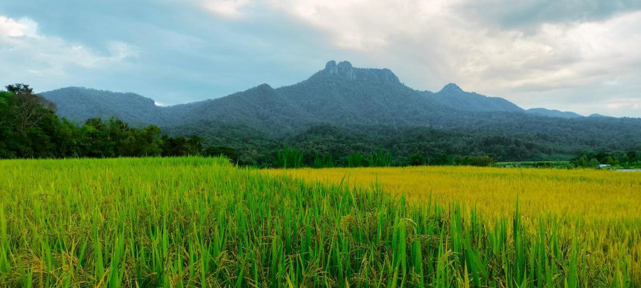 Pimpisa Garden พิมพิศา การ์เด้นท์ Villa Khuang Kom Bagian luar foto